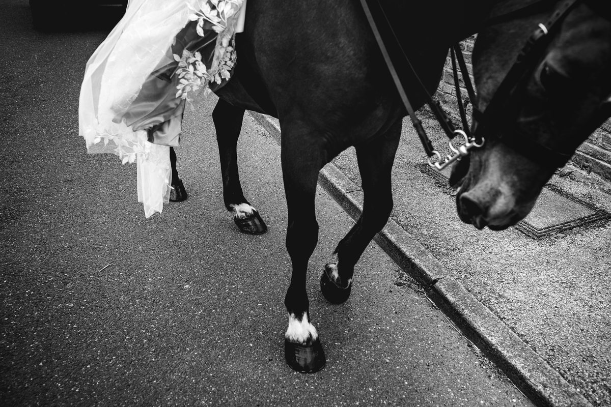 Sarah Bruce Photography Yorkshire Weddings Dogs at weddings
