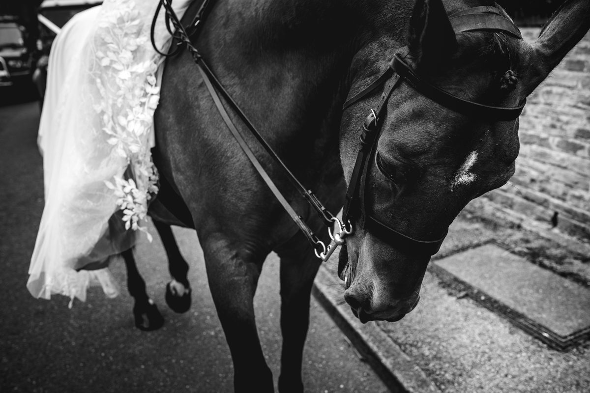Sarah Bruce Photography Yorkshire Weddings Dogs at weddings