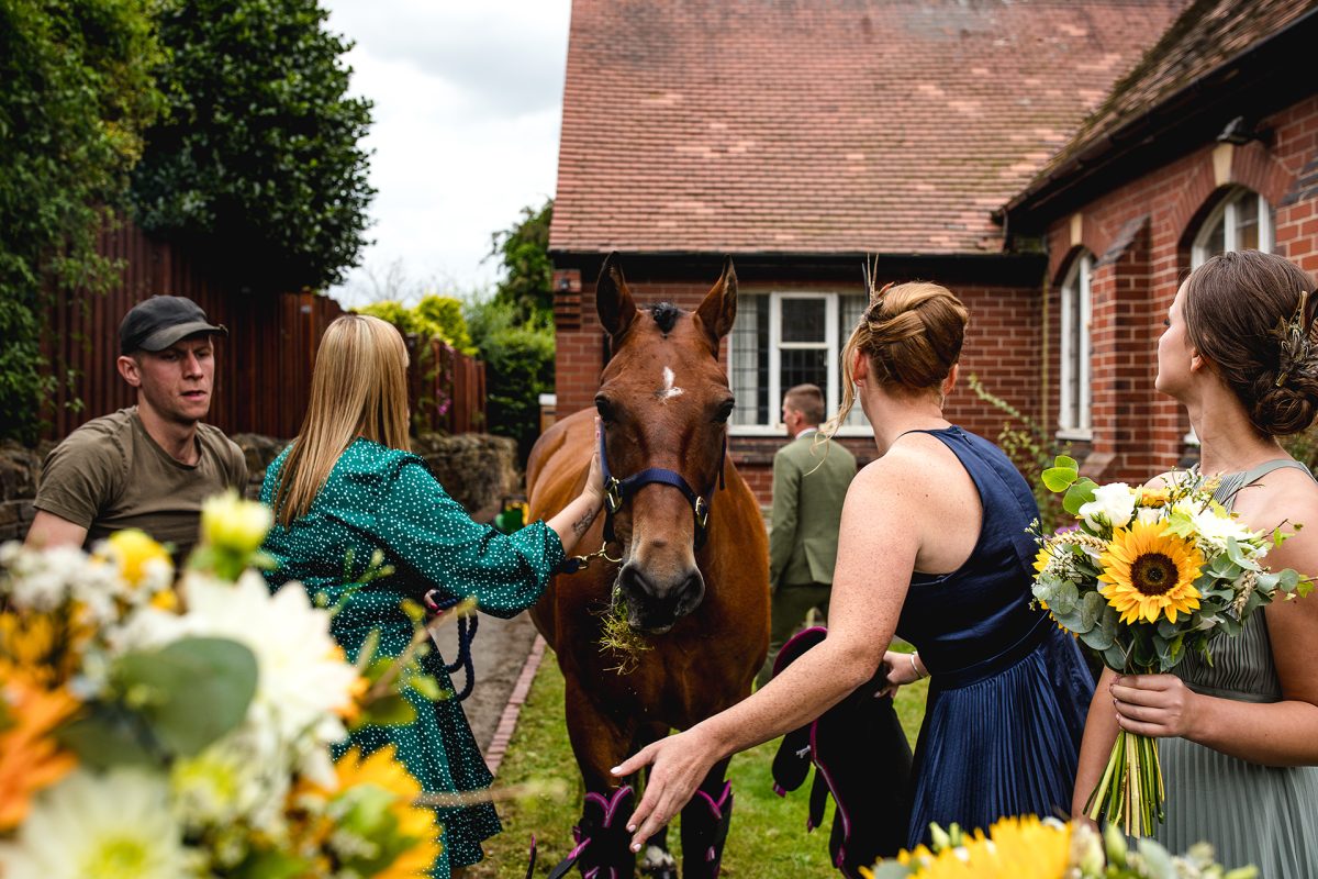 Sarah Bruce Photography Yorkshire Weddings Dogs at weddings