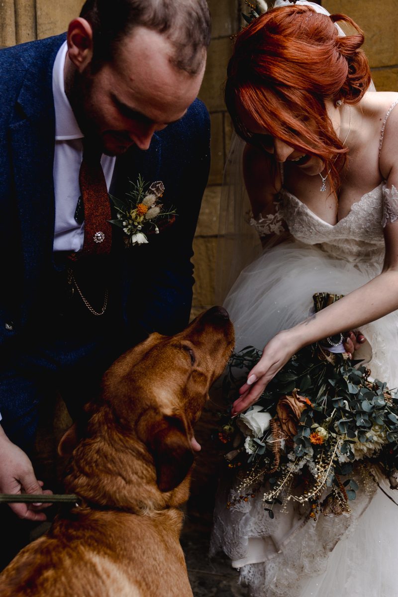 Sarah Bruce Photography Yorkshire Weddings Dogs at weddings