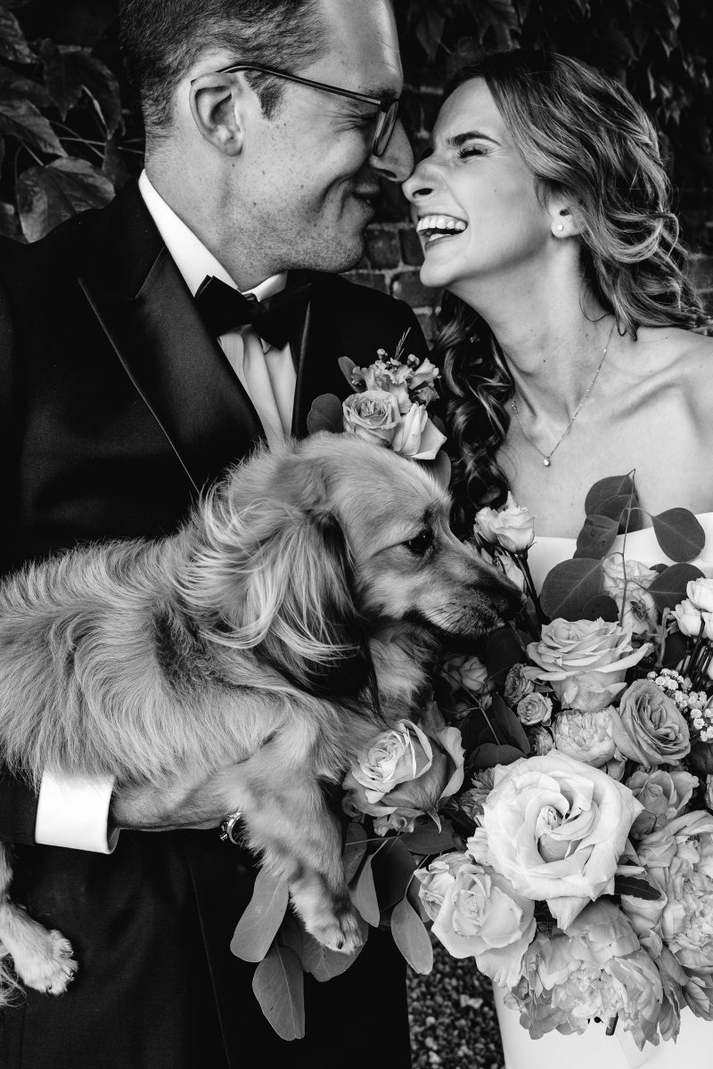 Sarah Bruce Photography Yorkshire Weddings Dogs at weddings
